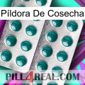 Píldora De Cosecha dapoxetine2